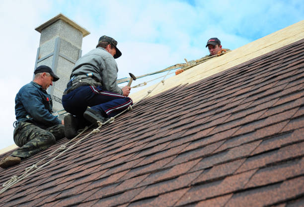 Roof Gutter Cleaning in Tega Cay, SC